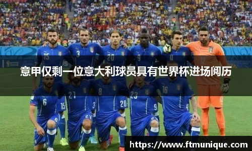 意甲仅剩一位意大利球员具有世界杯进场阅历